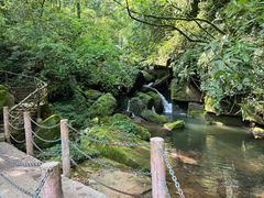 -碧峰峡风景区