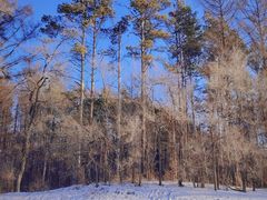-长春净月潭风景名胜区