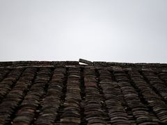 -福建土楼(南靖)景区