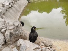 -森林公园(尖草坪区)