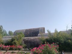 -南湖国家城市湿地公园
