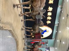 -乌鲁木齐天山国际机场-T3航站楼