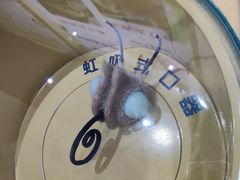 -上海昆虫博物馆