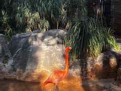 -昆明动物园