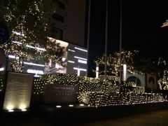 iphone_upload_pic-王府半岛酒店