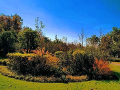 -昆山城市生态森林公园