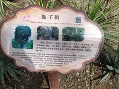 -南山植物园