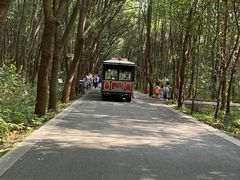 -同里国家湿地公园