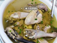 -呼吸森林·生态农庄农家乐私房菜