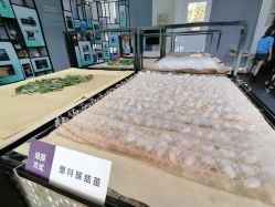 点击看大图 -太湖雪蚕桑文化园