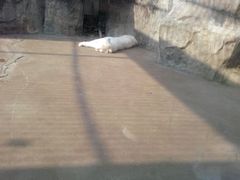 android_upload_pic-南昌动物园