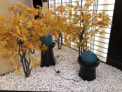 -汤里来温泉