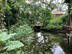 -海南热带野生动植物园