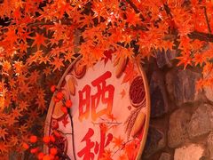-北京乐谷