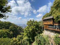 -南山植物园