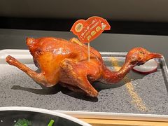 -羽鸽集·乳鸽专门店·地道顺德菜(岭南站店)