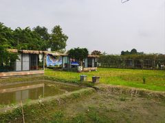 -洪湖家庭农场·团建·露营·会议
