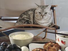 -牛庄高晓山风味馅饼城(海城店)