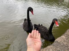 -珠海圆明新园