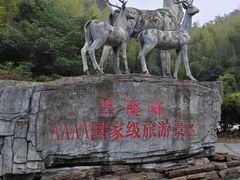 -长沙黑麋峰国家森林公园