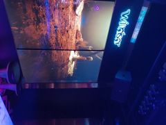 -温莎KTV(珠江路店)