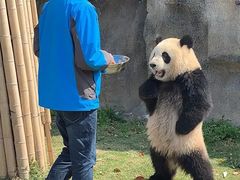 -星巴克(长沙桃子湖店)