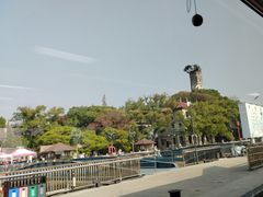 -江心屿景区