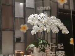 -LANN I 蘭 泰式古法按摩(宝乐汇店)