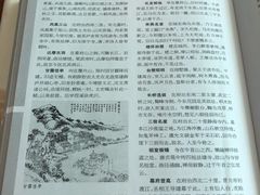 -金陵图书馆