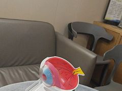 -武汉大学附属爱尔眼科医院(湖北总院)