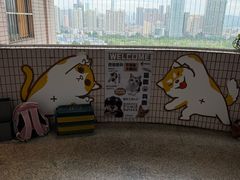 -有喵·猫咖·狗咖·30几只猫10只小狗(岗厦店)