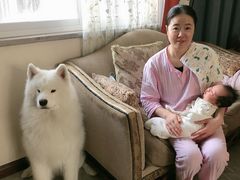 -金贝儿月嫂(高新尚品国际店)