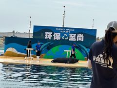 -秦皇岛乐岛海洋王国