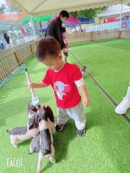 -萌宠亲子动物乐园(槐房万达店)