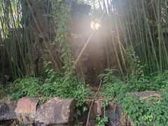 -水绘园