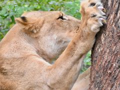 -卡塞拉自然公园