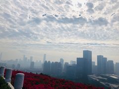 -荔枝公园-小平画像广场
