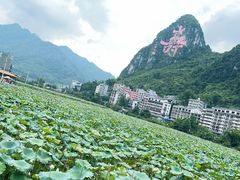 -长寿村