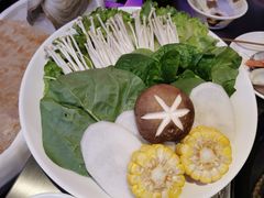 有机蔬菜-那都不是锅(菏泽路店)