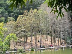 -深圳仙湖植物园