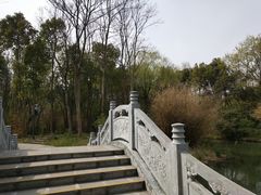 -溱湖国家湿地公园