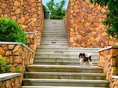 -帐篷客·溪龙茶谷度假酒店