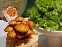 -烹然四季椰子鸡火锅(姚家园万象汇店)