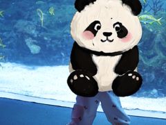-海合安成都极地海洋公园
