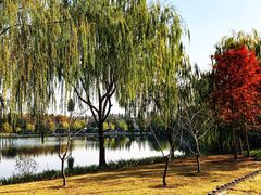 -杭州城北体育公园