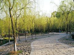 -柳浪闻莺公园
