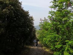 -缥缈峰景区