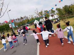 -上海长兴岛郊野公园