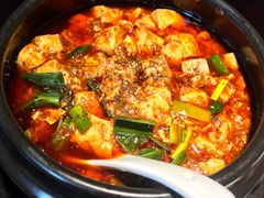 -陈麻婆豆腐总店