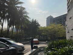 -半山半岛洲际度假酒店·观海廊